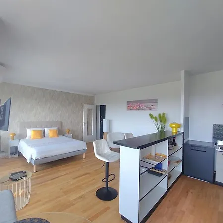 아파트 Vue Sur Lyon - Clim - Terrasse - Parking Securise